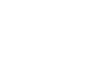 picimex